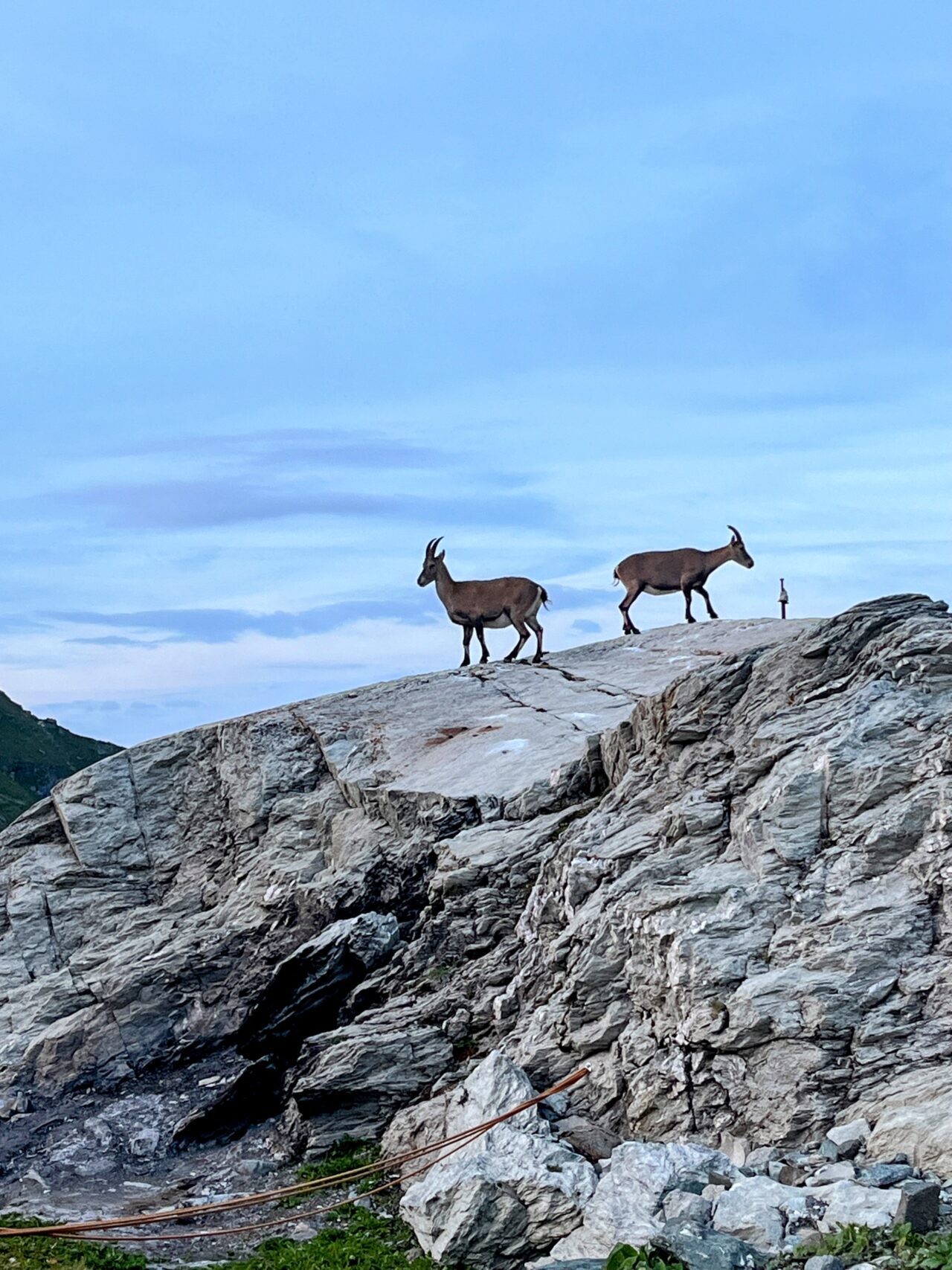 wanderung_alpenpaesseweg_etappe_28_cabane_de_dix_cabane_de_prafleuri_