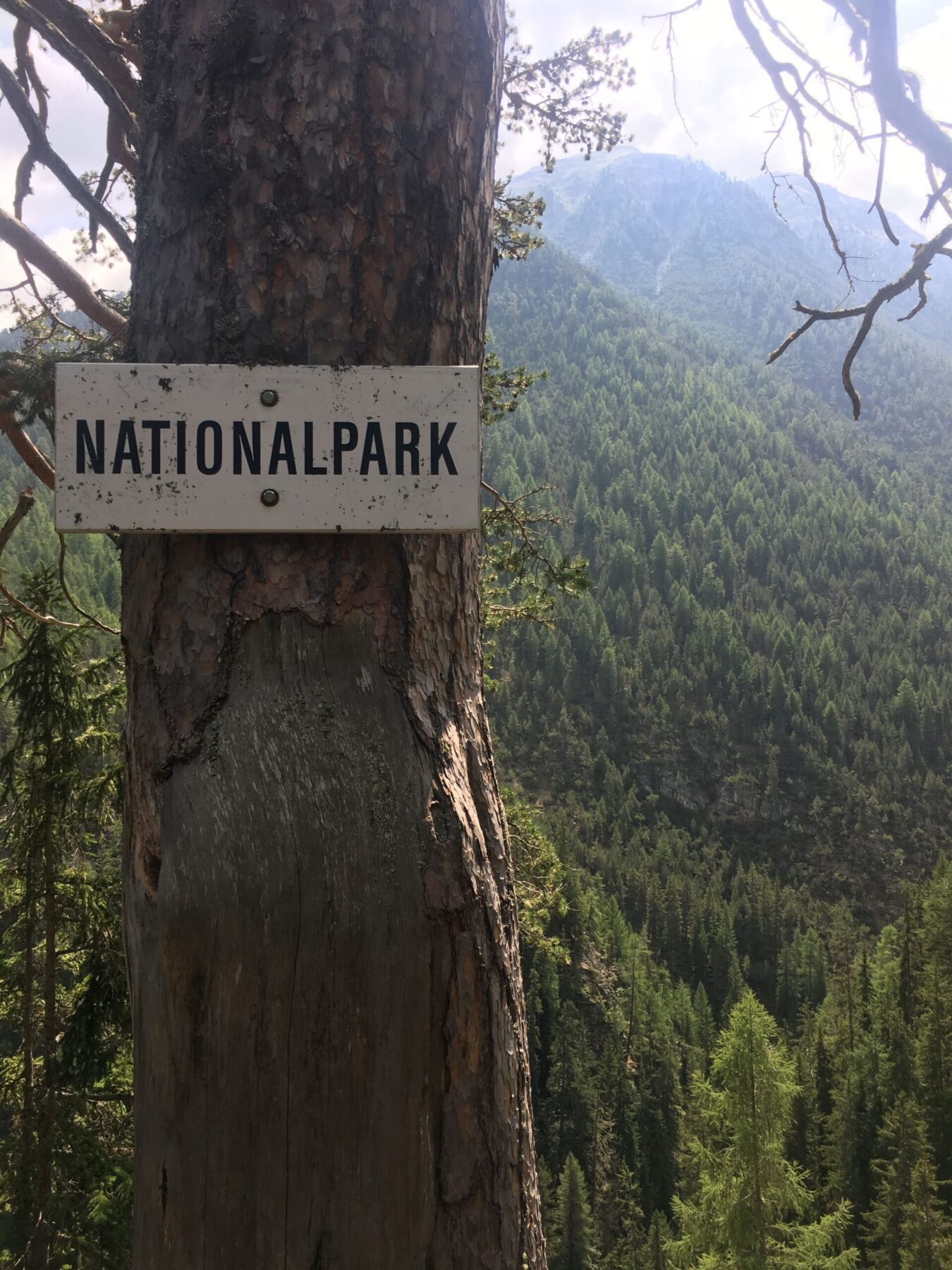 wanderung_zernez_nationalpark_chamanna_cluozza_