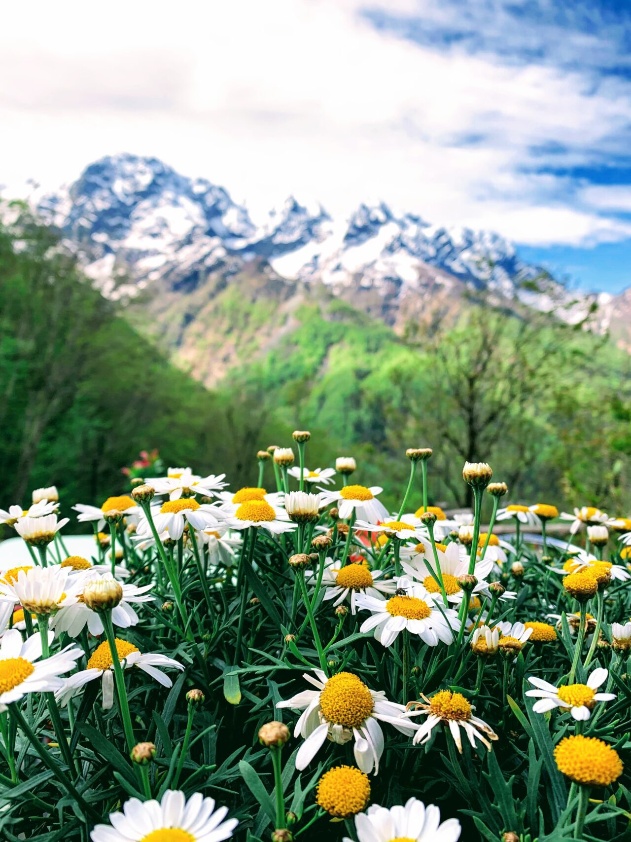 wanderung_rasa_palagnedra_