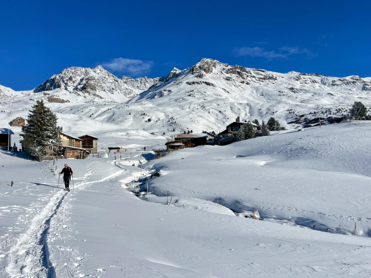 schneeschuhtour_alp_flix_573_schweizmobil__IMG_6293