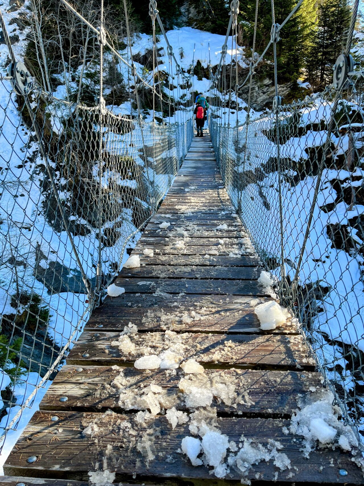 schneeschuhwandern_lantsch__IMG_0299 (Kopie)