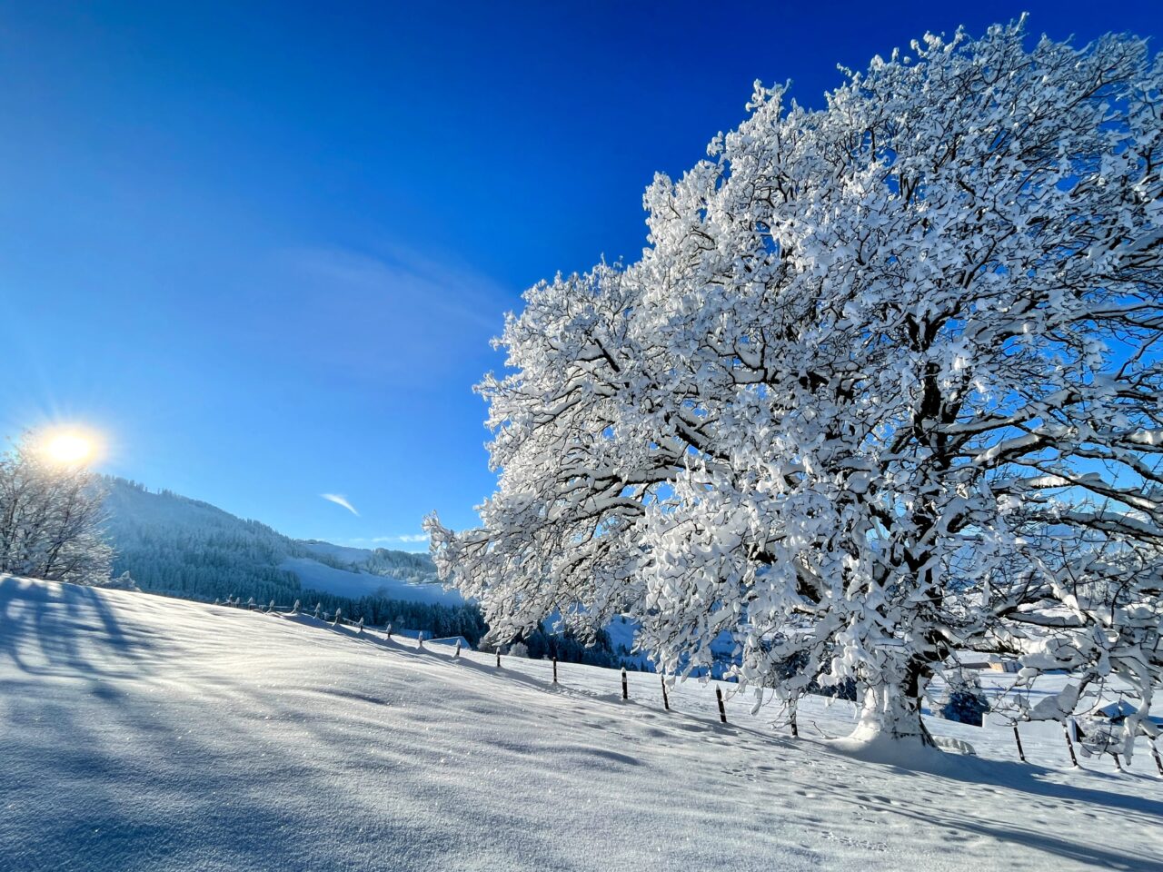 schneeschuhwanderung_rothenthurm_ahoren_biberbrugg__IMG_2339