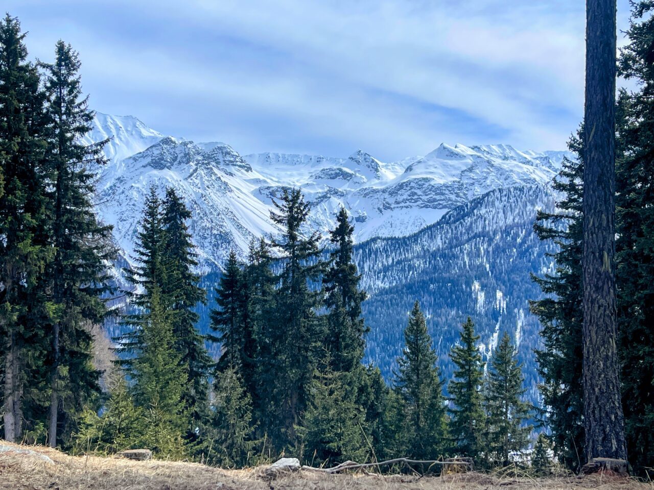 winterwanderung_lü_santa_maria__IMG_8511