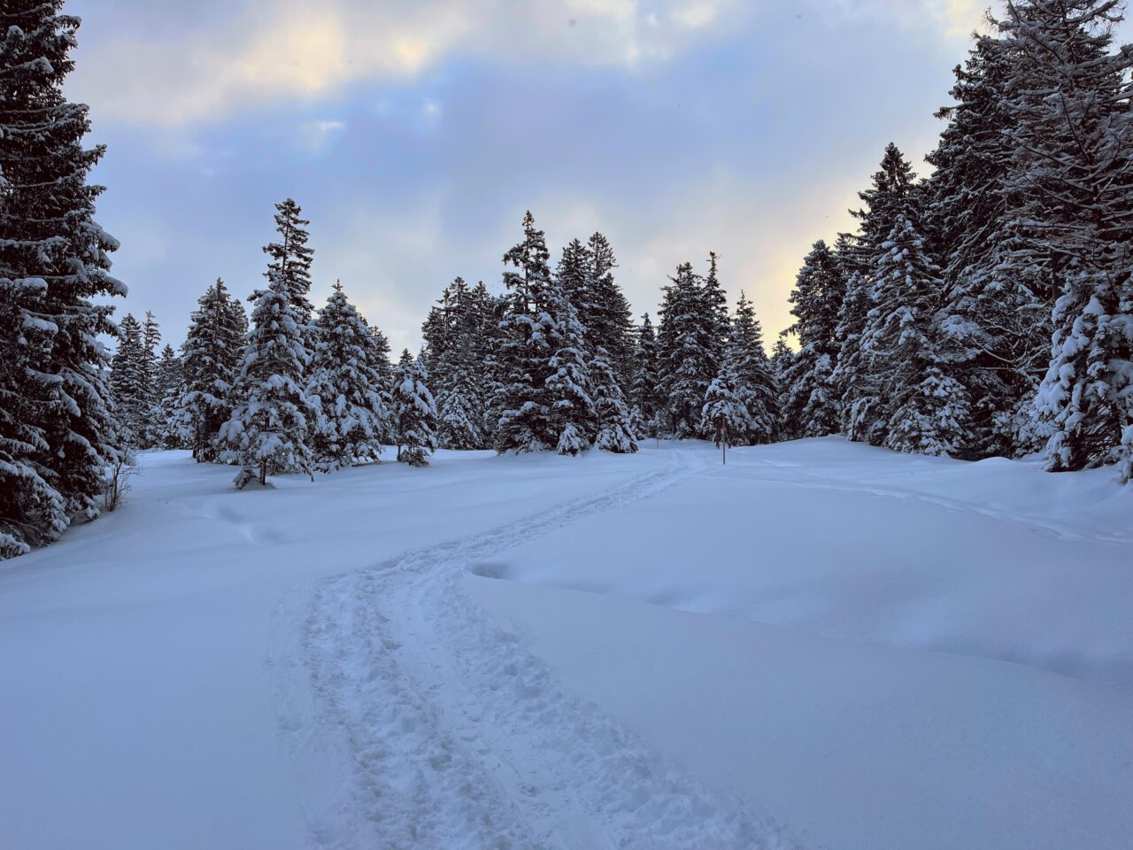 schneeschuhwanderung-furggelenstock-_IMG_9246 (Kopie)