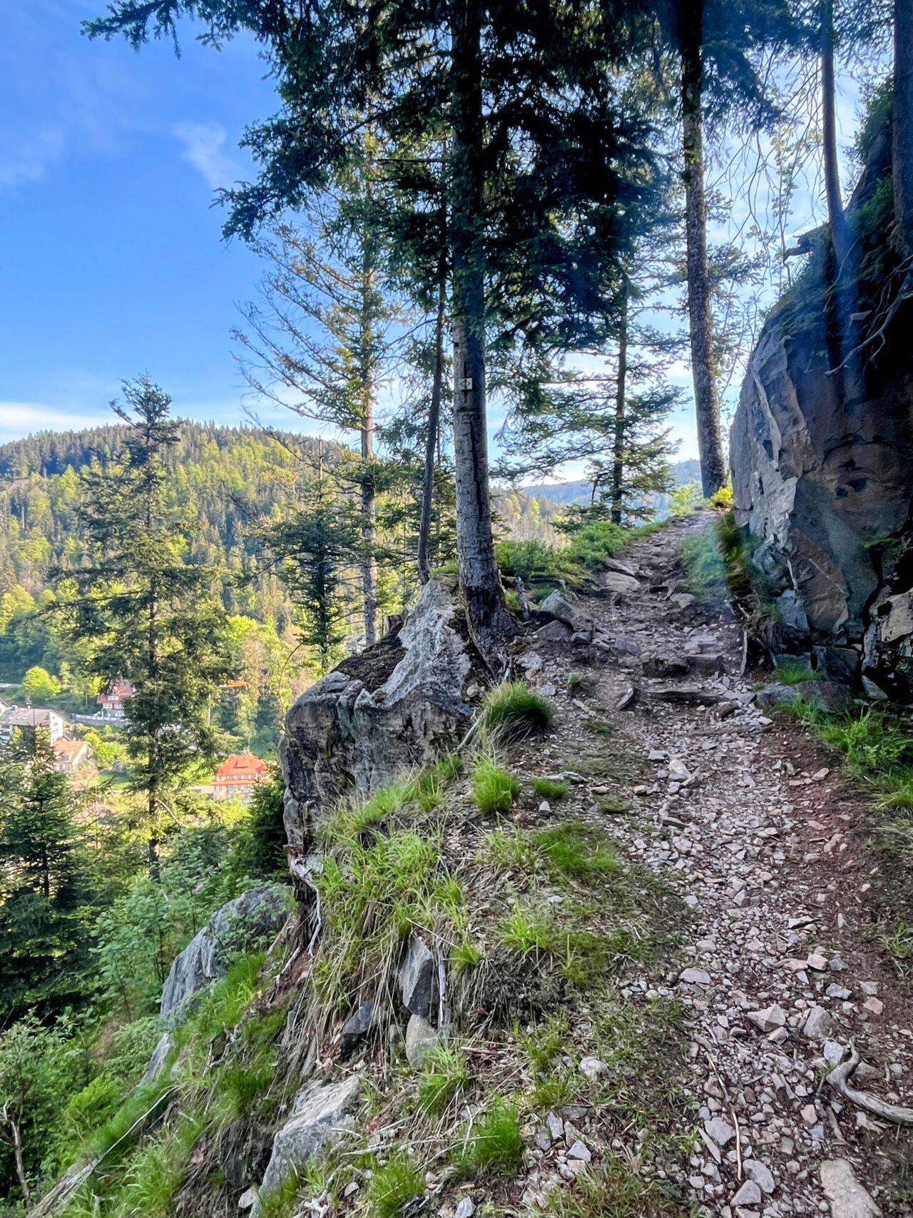 wanderung_schluchtensteig_schwarzwald_