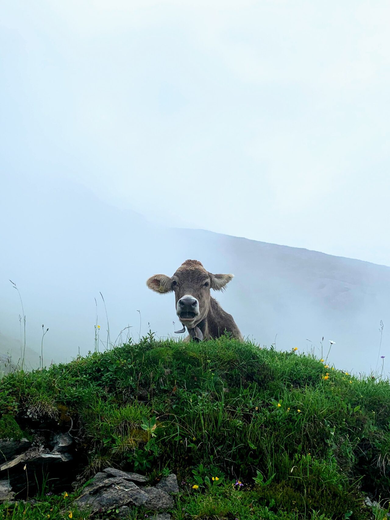 wanderung_Wasserweg_Flims_