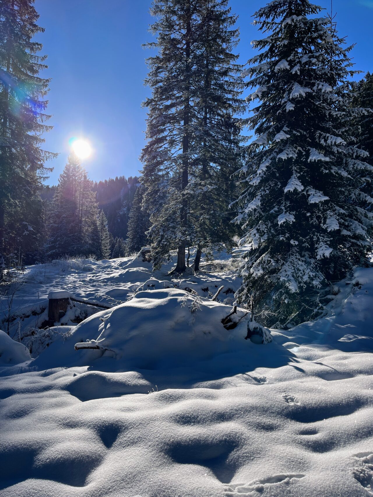 schneeschuhwandern-flumserberg-_IMG_7884