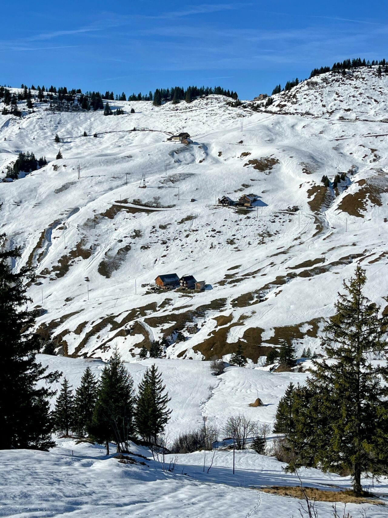 Schneeschuhe_winterwandern_eggberge_hueenderegg_ratzi__IMG_5681
