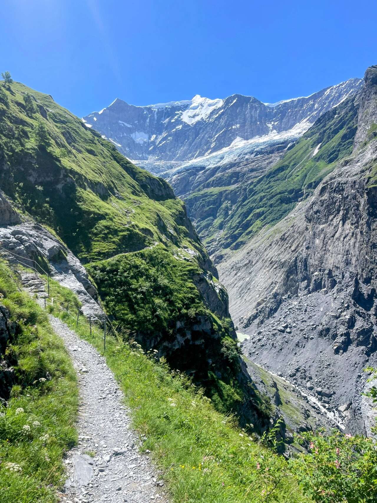 Wanderung_grindelwald_schreckhornhütte_