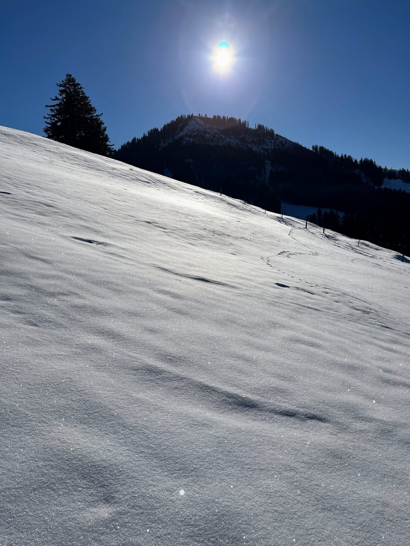 schneeschuhwanderung_rothenturm_ruchegg__IMG_0782