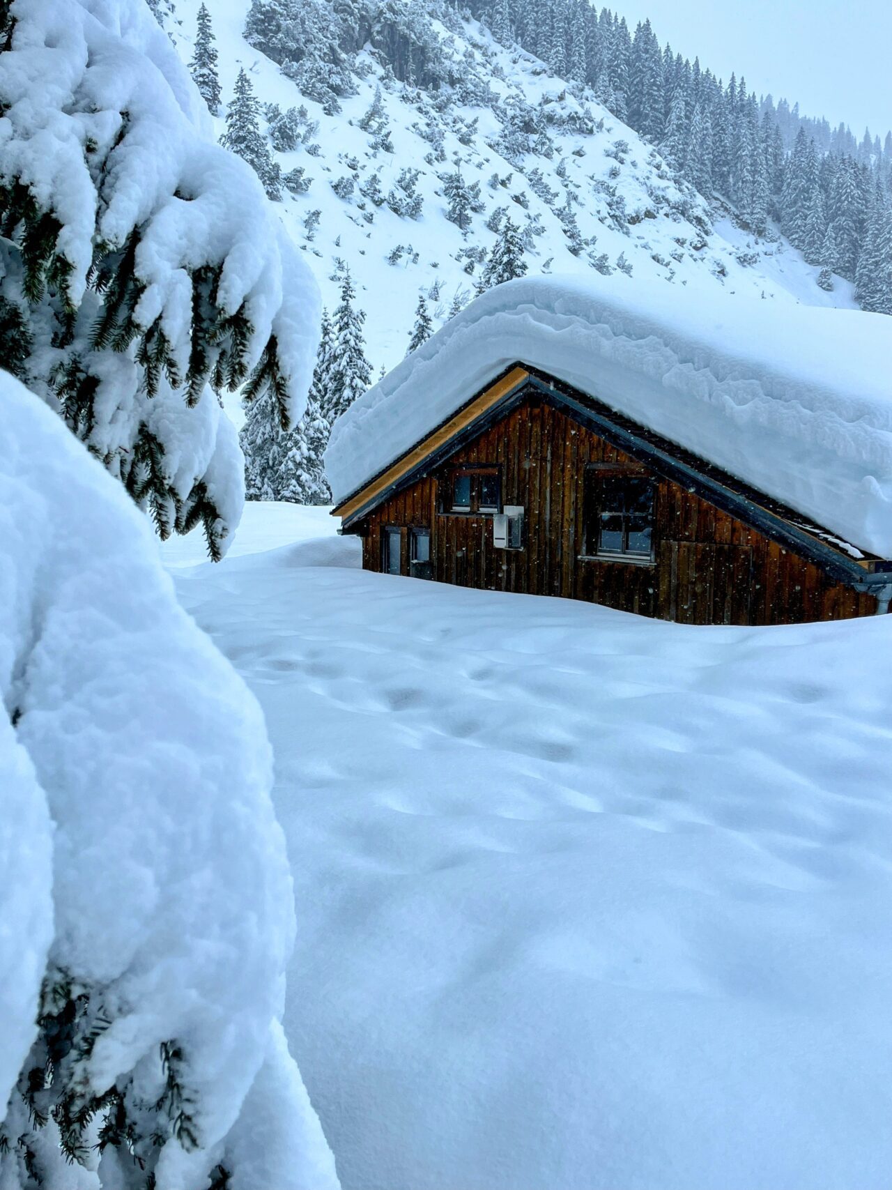 winterwanderung_lech_zug_vorderes_aelpele__IMG_4518