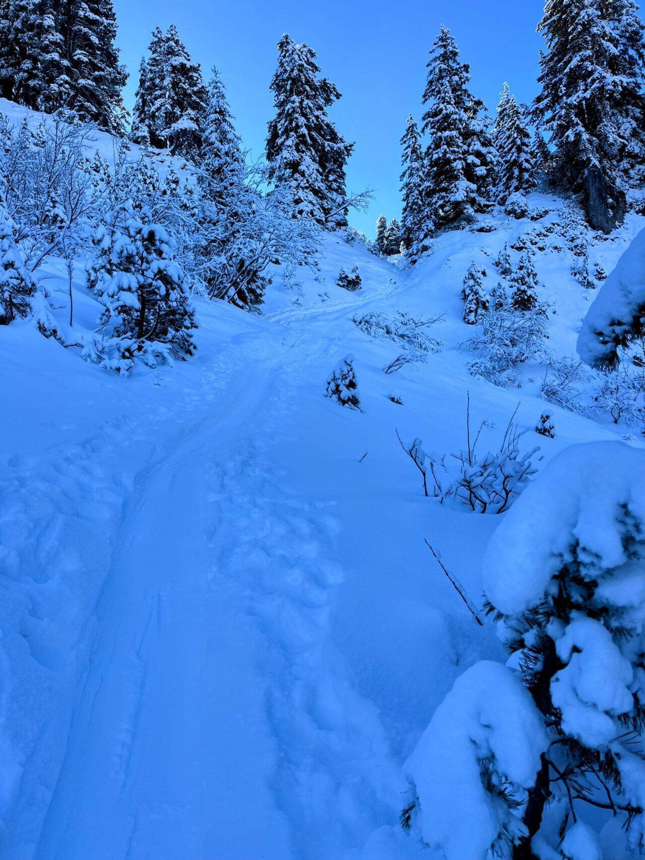 schneeschuhtour_laucherenstoeckli_ibergeregg_brunni__IMG_5751