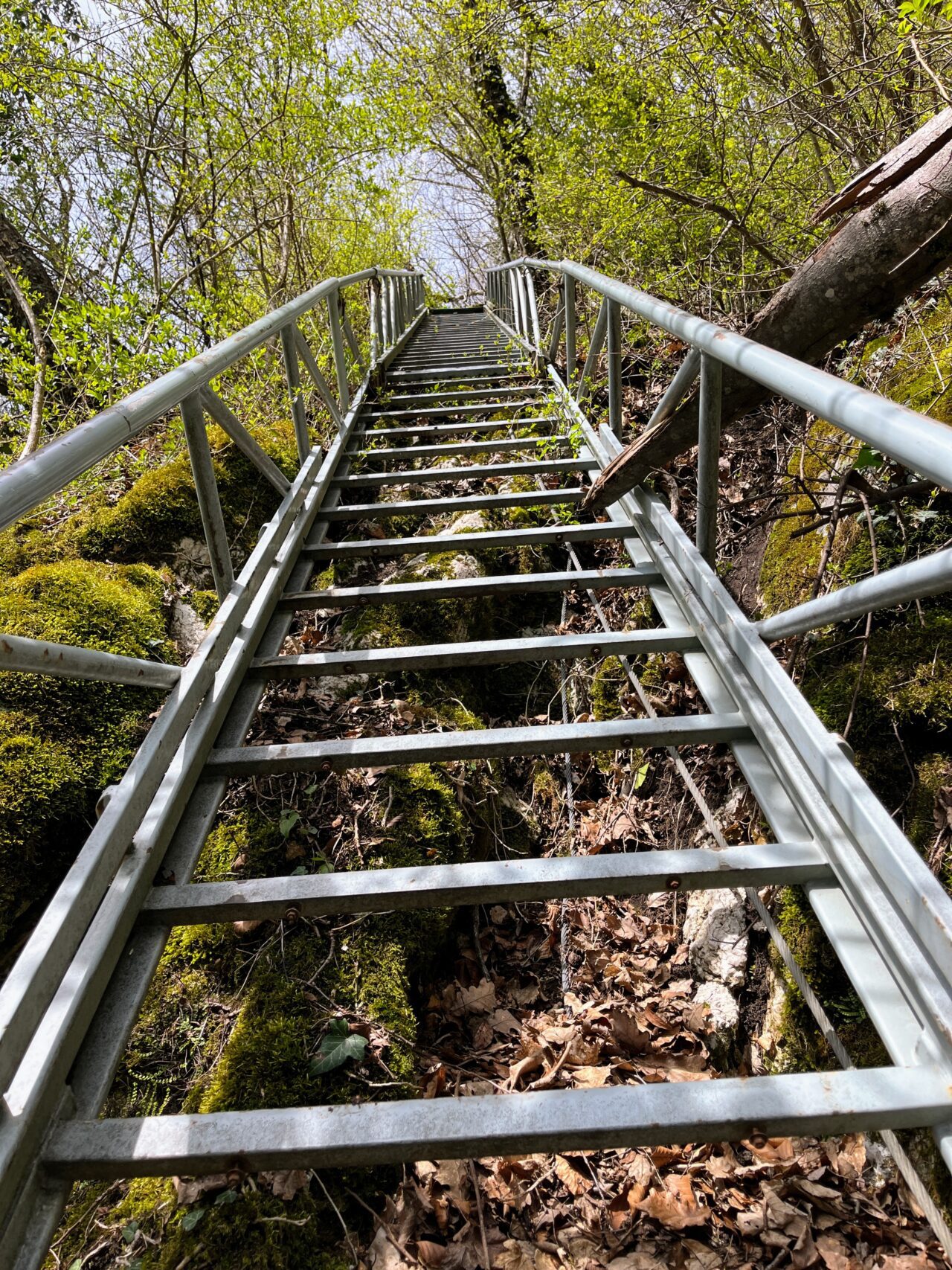 gratwanderung_laegern_
