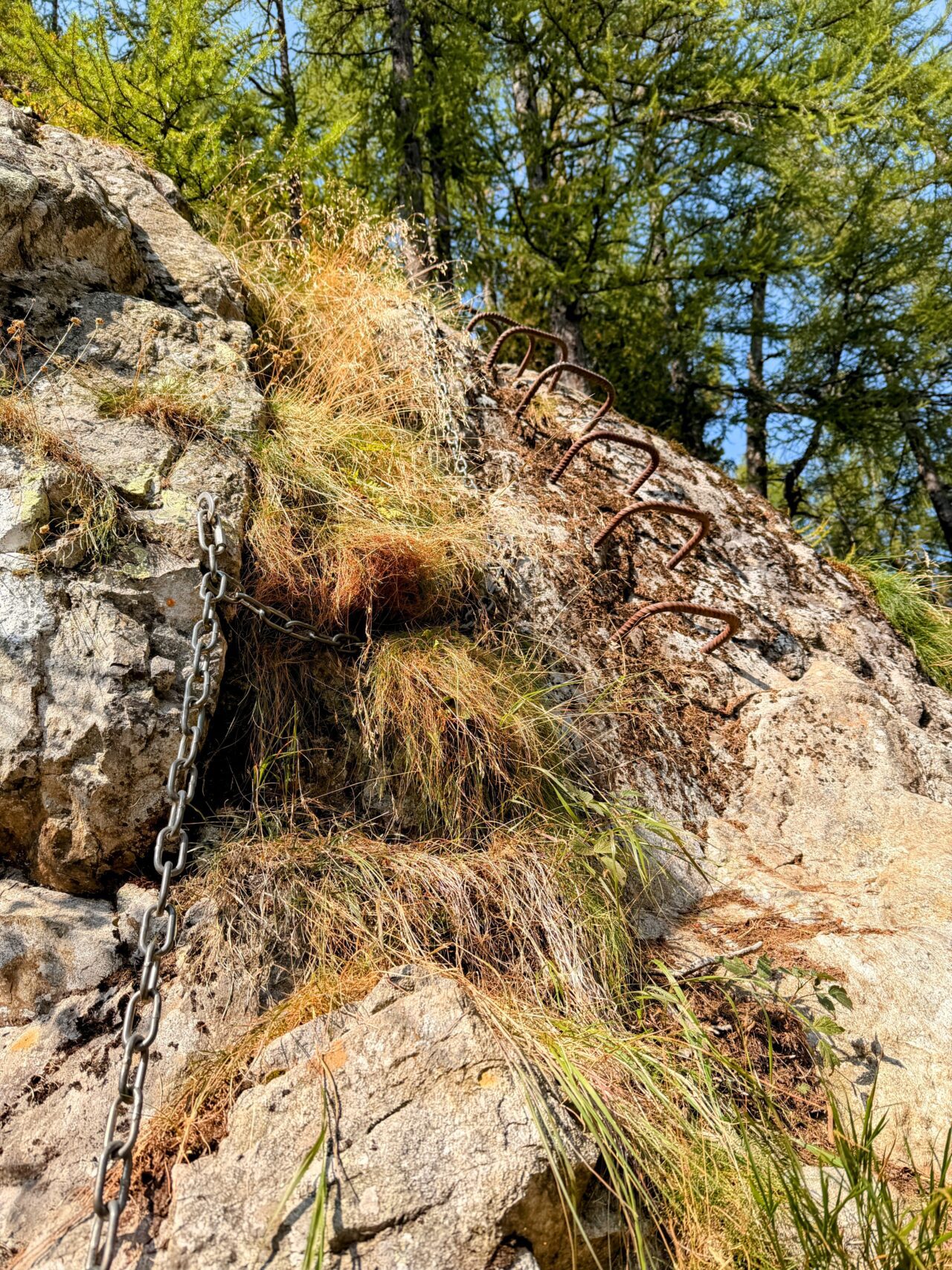 wanderung_sentiero_alpino_bregaglia_sasc_furae_huette_bondo__IMG_0576
