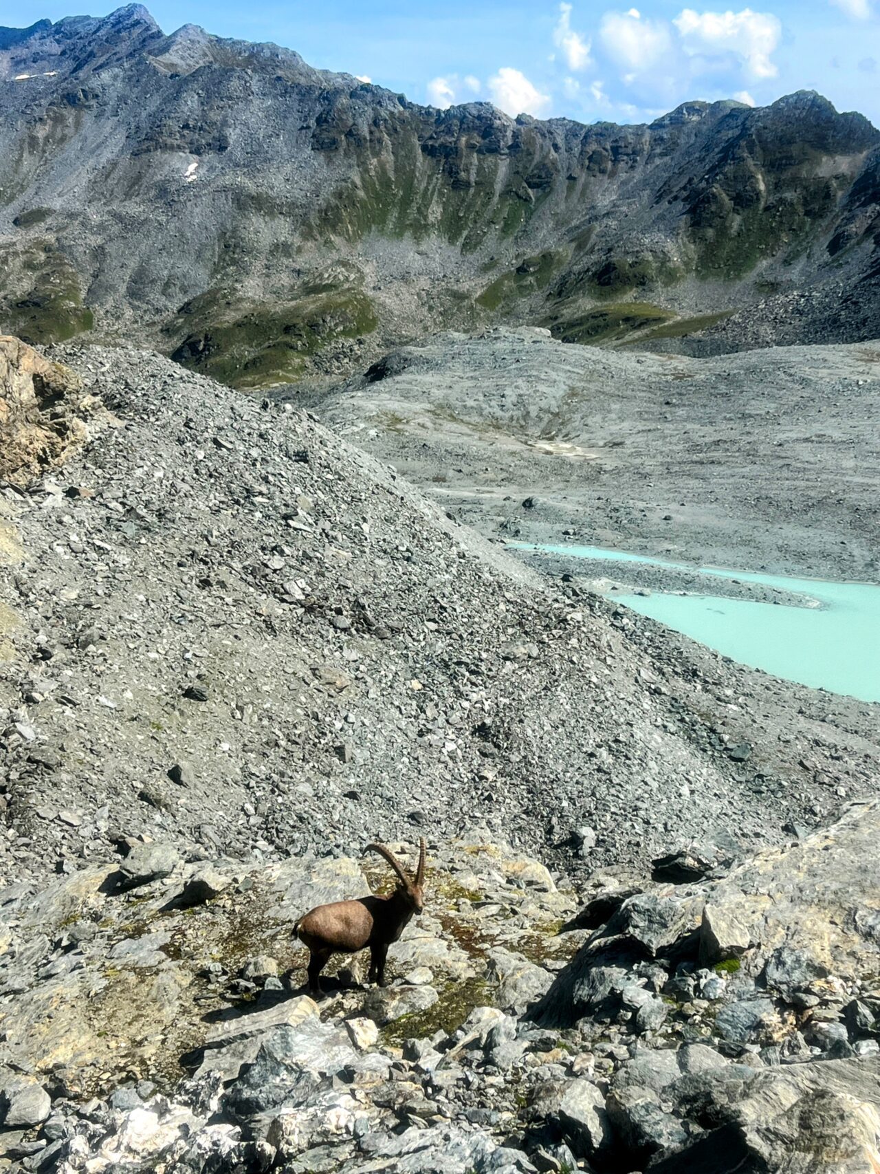 wanderung_alpenpaesseweg_etappe_29_cabane_de_prafleuri_cabane_de_louvie_