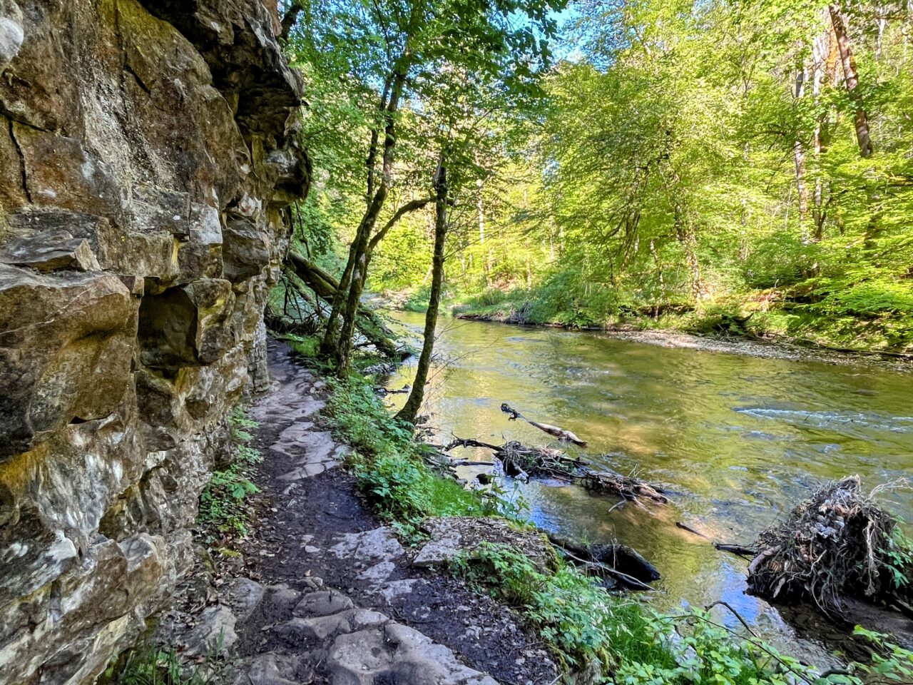 wanderung_schluchtensteig_schwarzwald_
