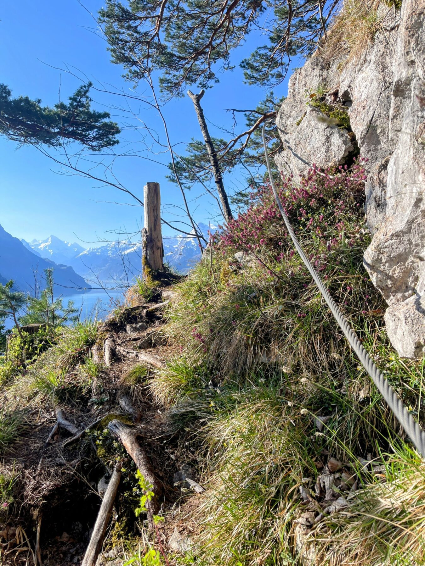wanderung_urmiberg_stockflue_