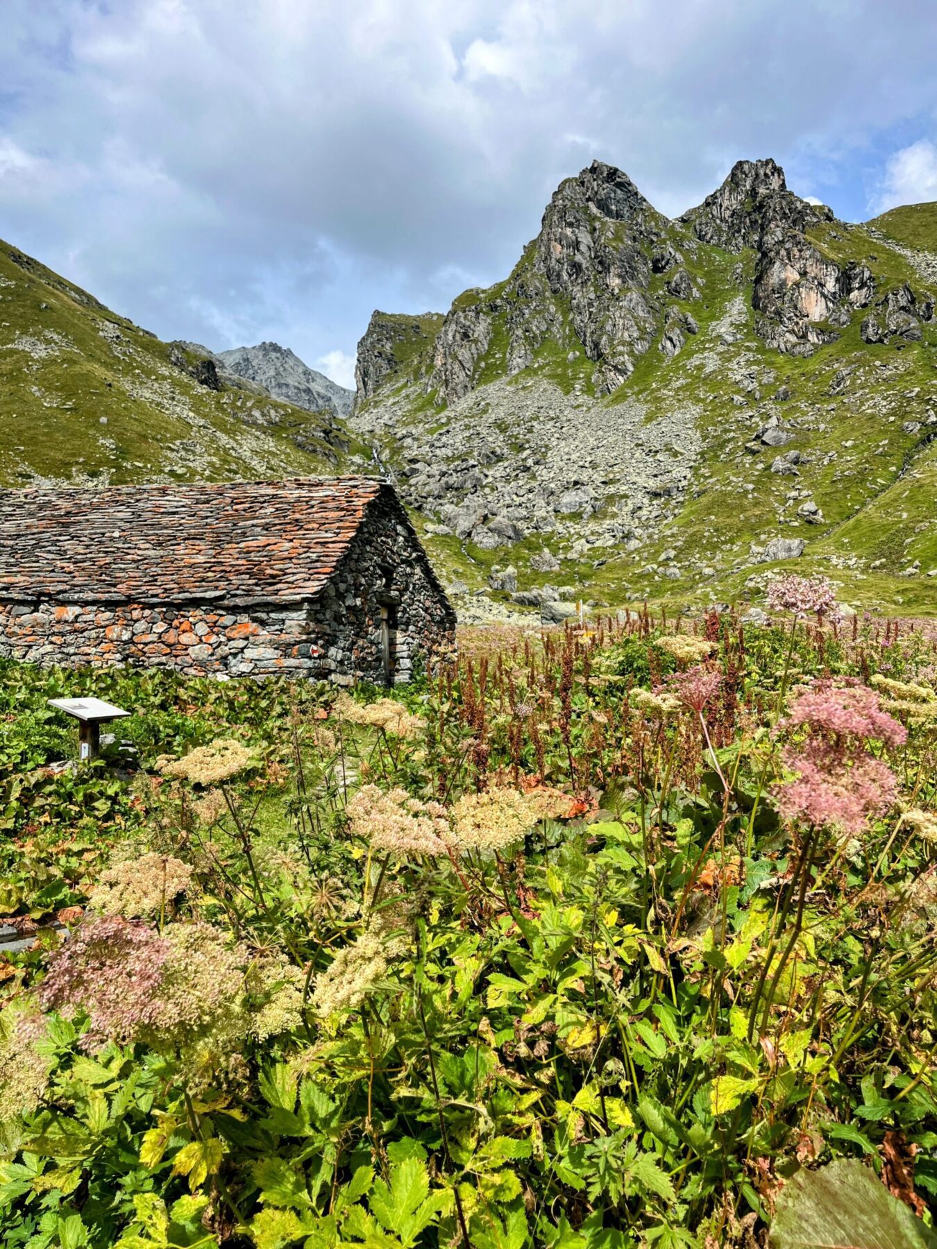 wanderung_alpenpaesseweg_etappe_29_cabane_de_prafleuri_cabane_de_louvie_