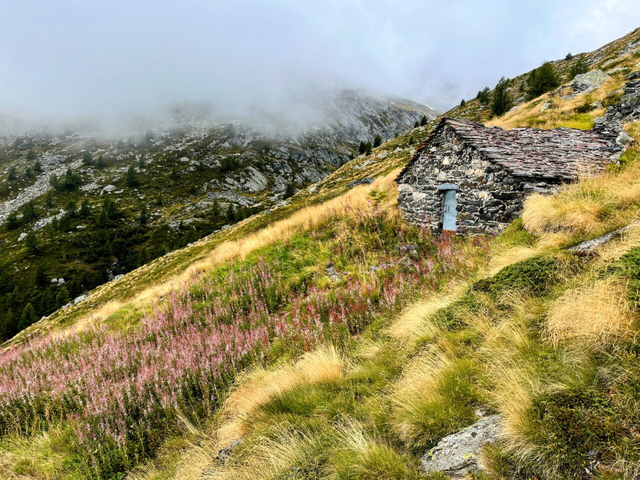 wanderung_sentiero_bernina_sud_