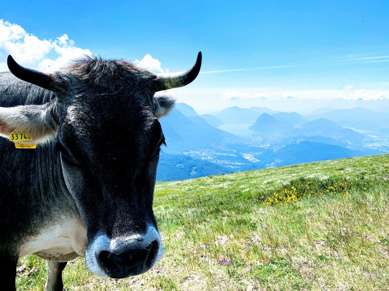 wanderung_motto_della_croce_