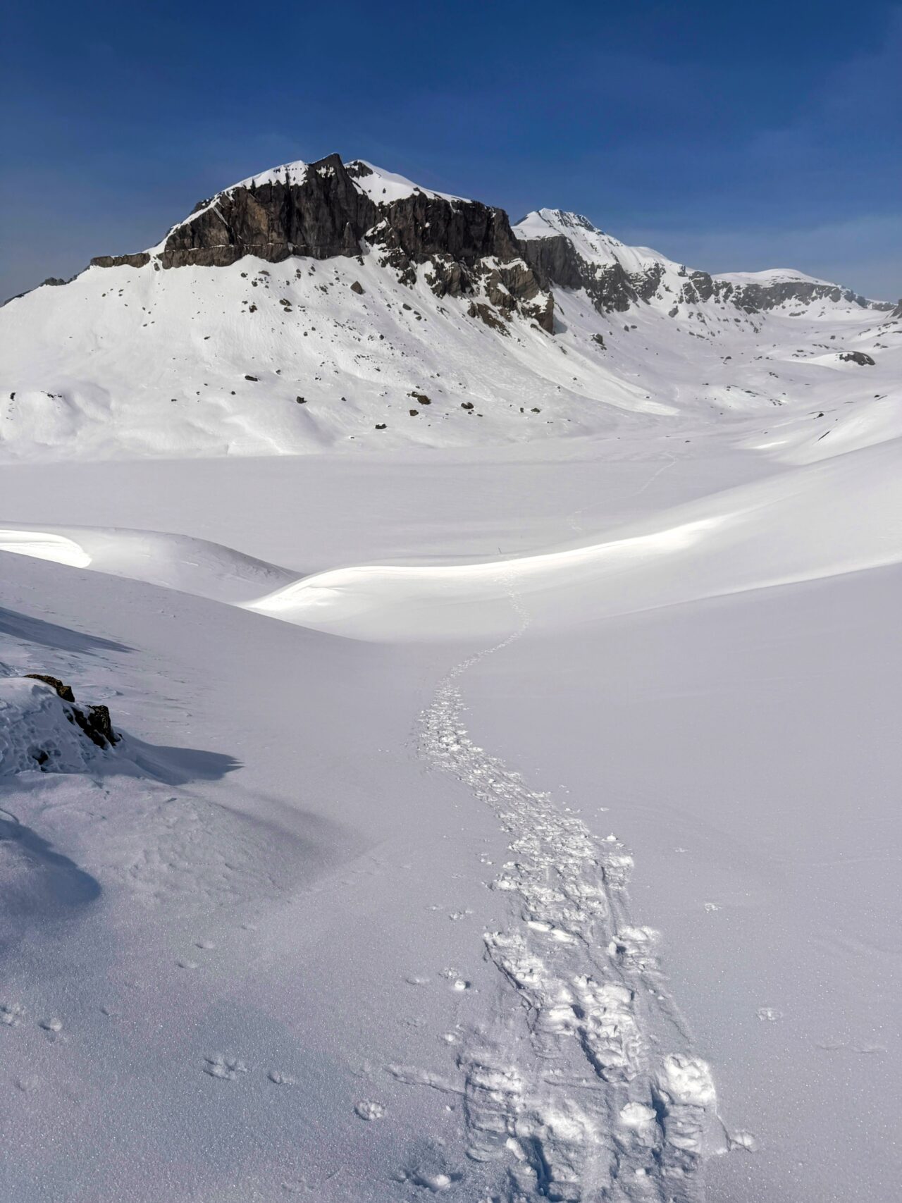schneeschuh_safari_graubuenden_oberer_segnesboden_flims__IMG_0429