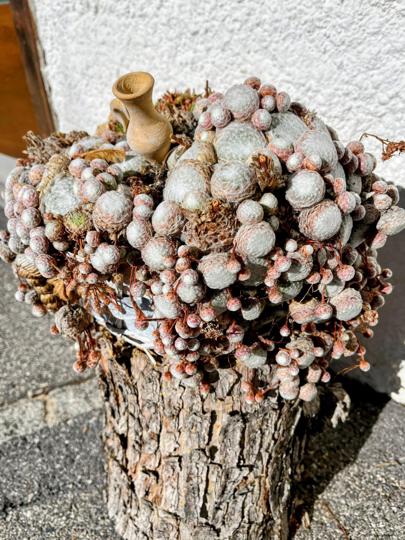 wanderung-via-sett-lenzerheide-churwalden-