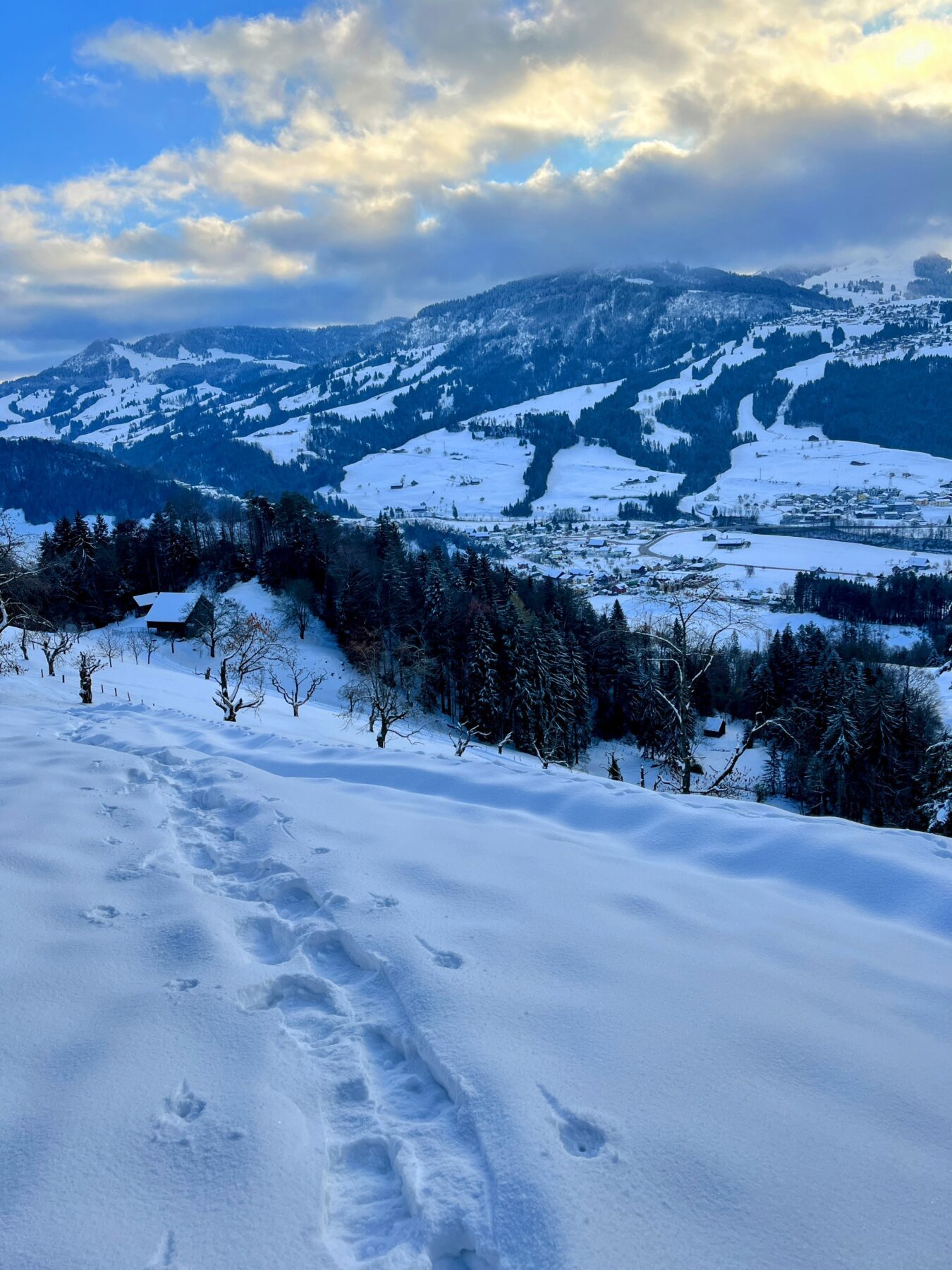 schneeschuhwanderung_wildspitz__IMG_2200