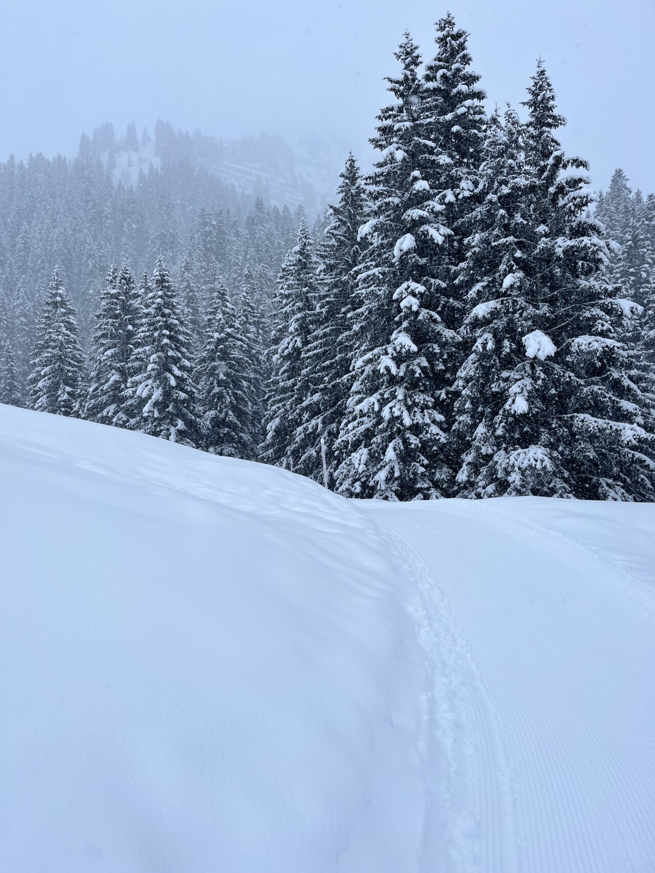 winterwanderung_lech_zug_vorderes_aelpele__IMG_4494