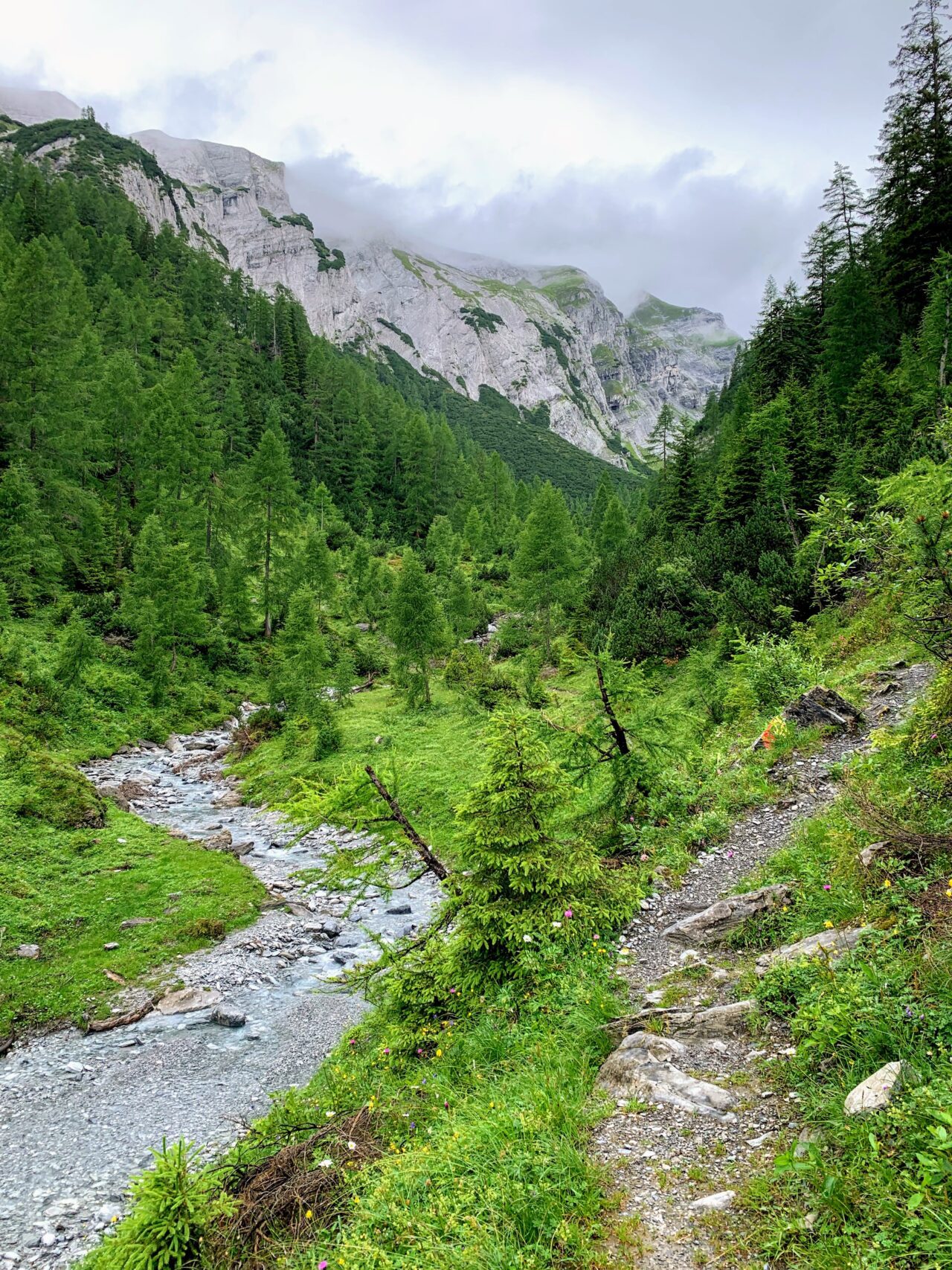 wanderung_ringelspitzhuette_