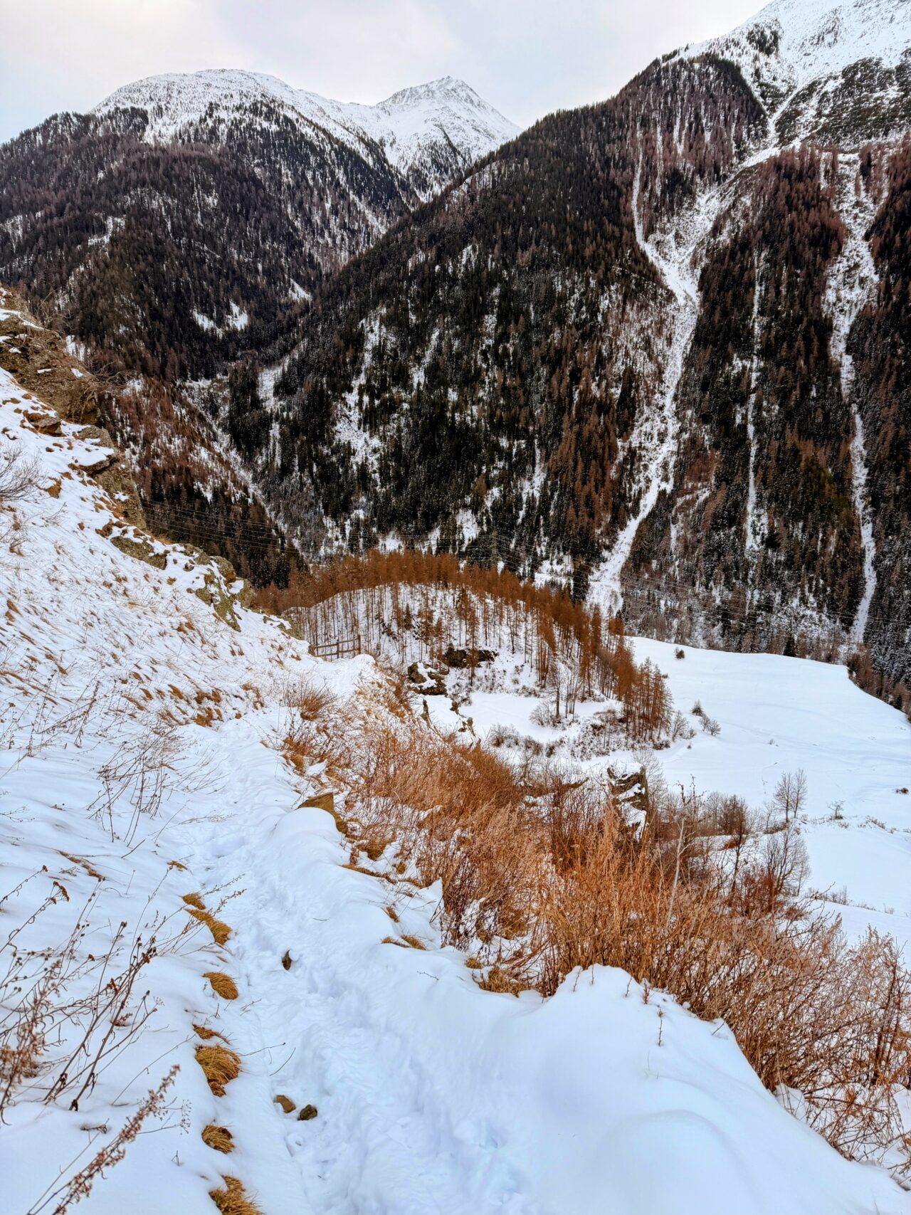 winterwanderung_via_engadina_zernez_guarda__IMG_9218