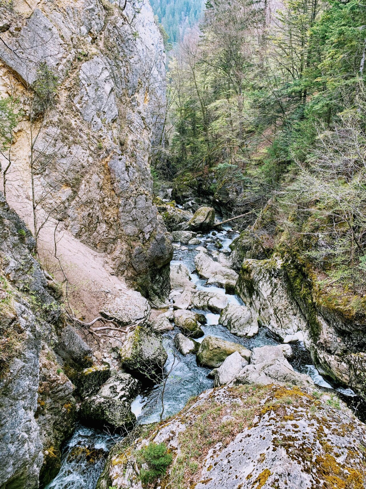 wanderung_areuse_schlucht_