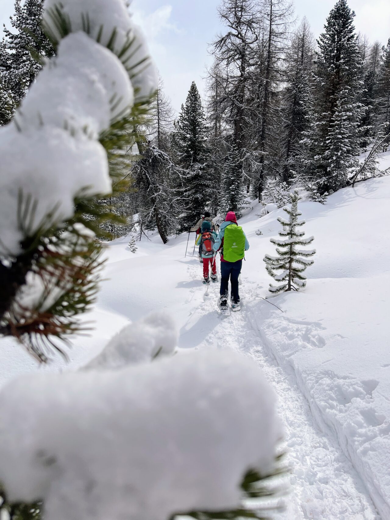 schneeschuhtour_buffalora_