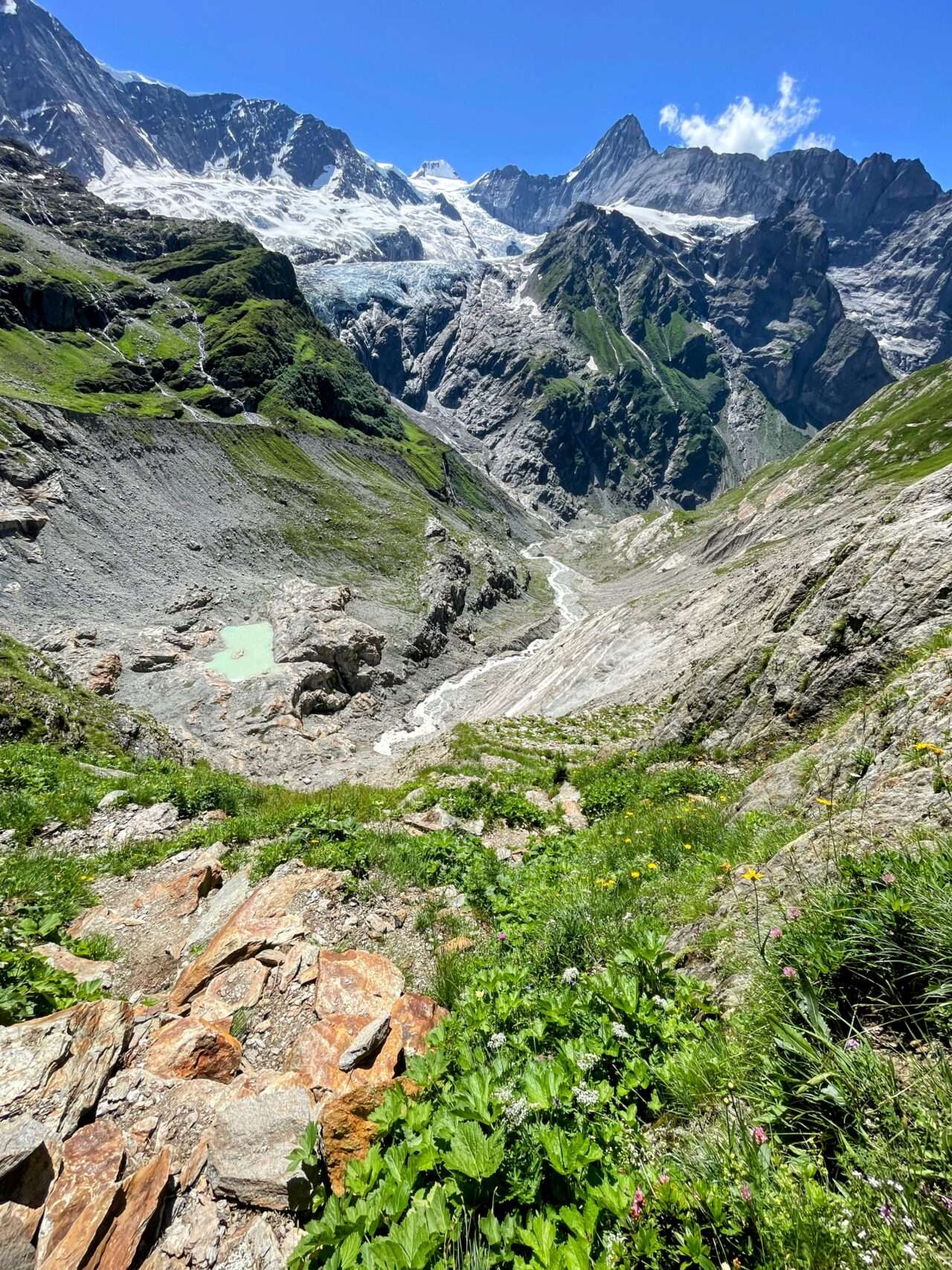 Wanderung_grindelwald_schreckhornhütte_