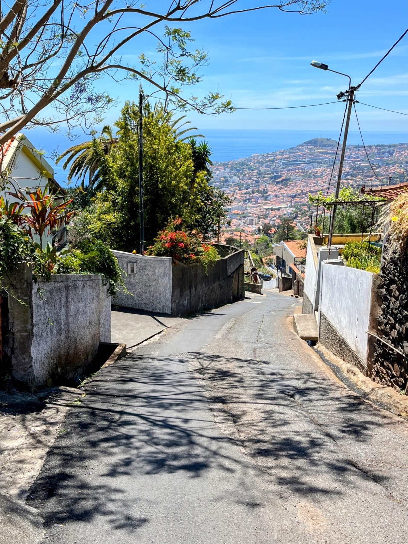 wanderung_monte_botanischer_garten_funchal_