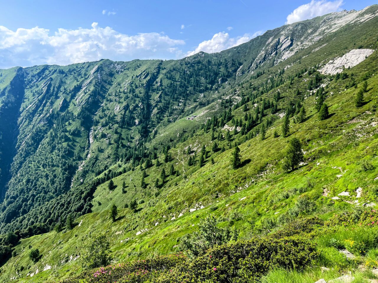 Wanderung_Alta_Via_Vallemaggia_Cimetta_Nimi_Brione_