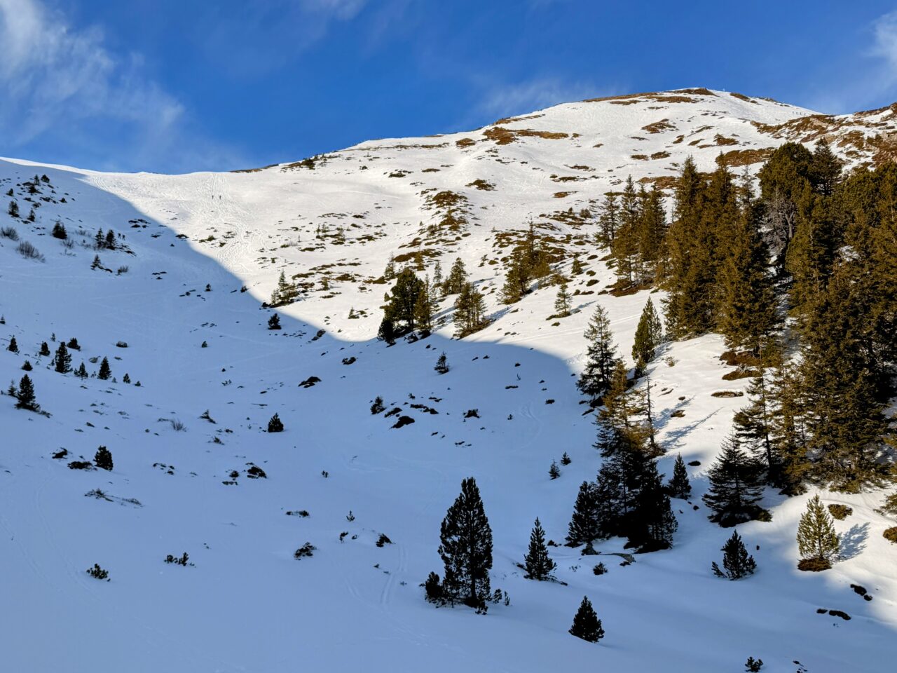 schneeschuhwanderung_rickhubel_fürstein__IMG_9386