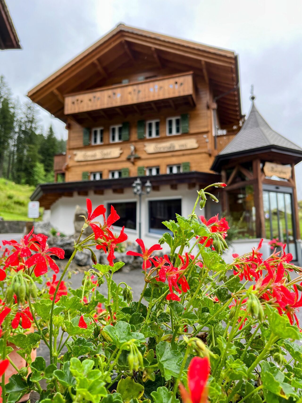 wanderung_via_alpina_griesalp_bluemlisalphuette_oeschinensee_kandersteg_