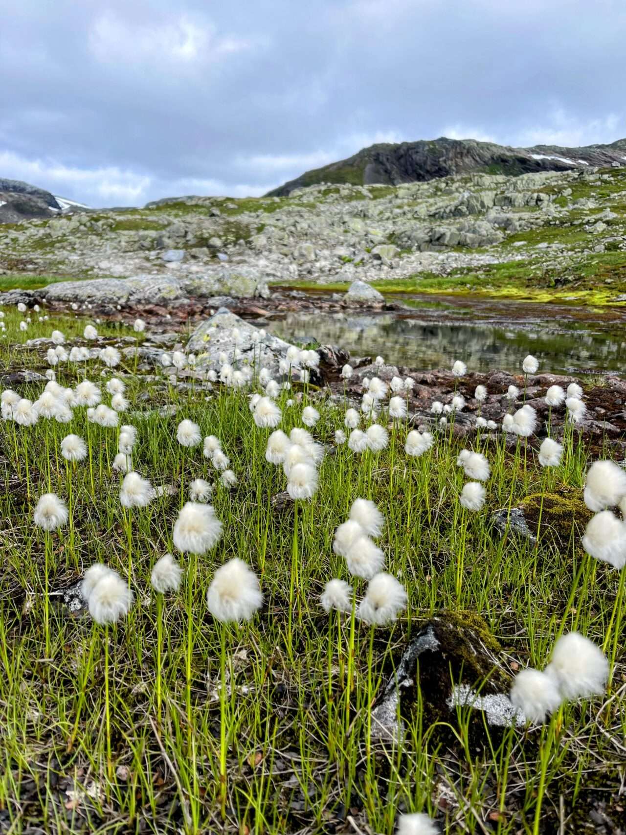 wanderung_hellevassbu_middalsbu_