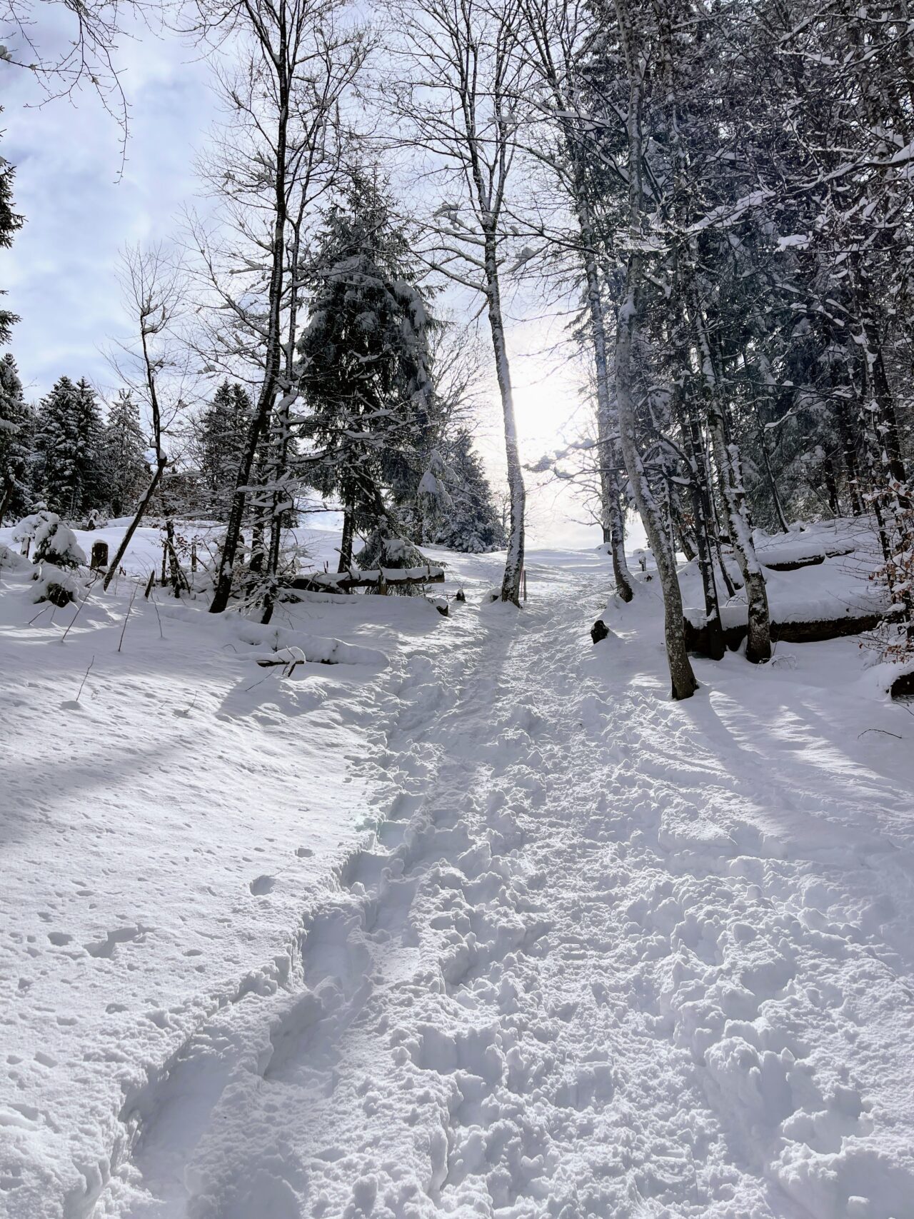 schneeschuhwanderung_atzmaennig_chruezegg_