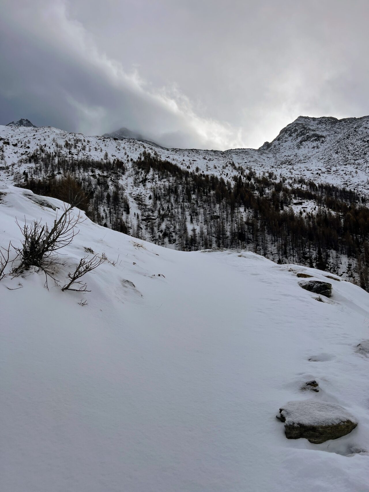 schneeschuhtour-weissmies-hohsaas-_IMG_8841