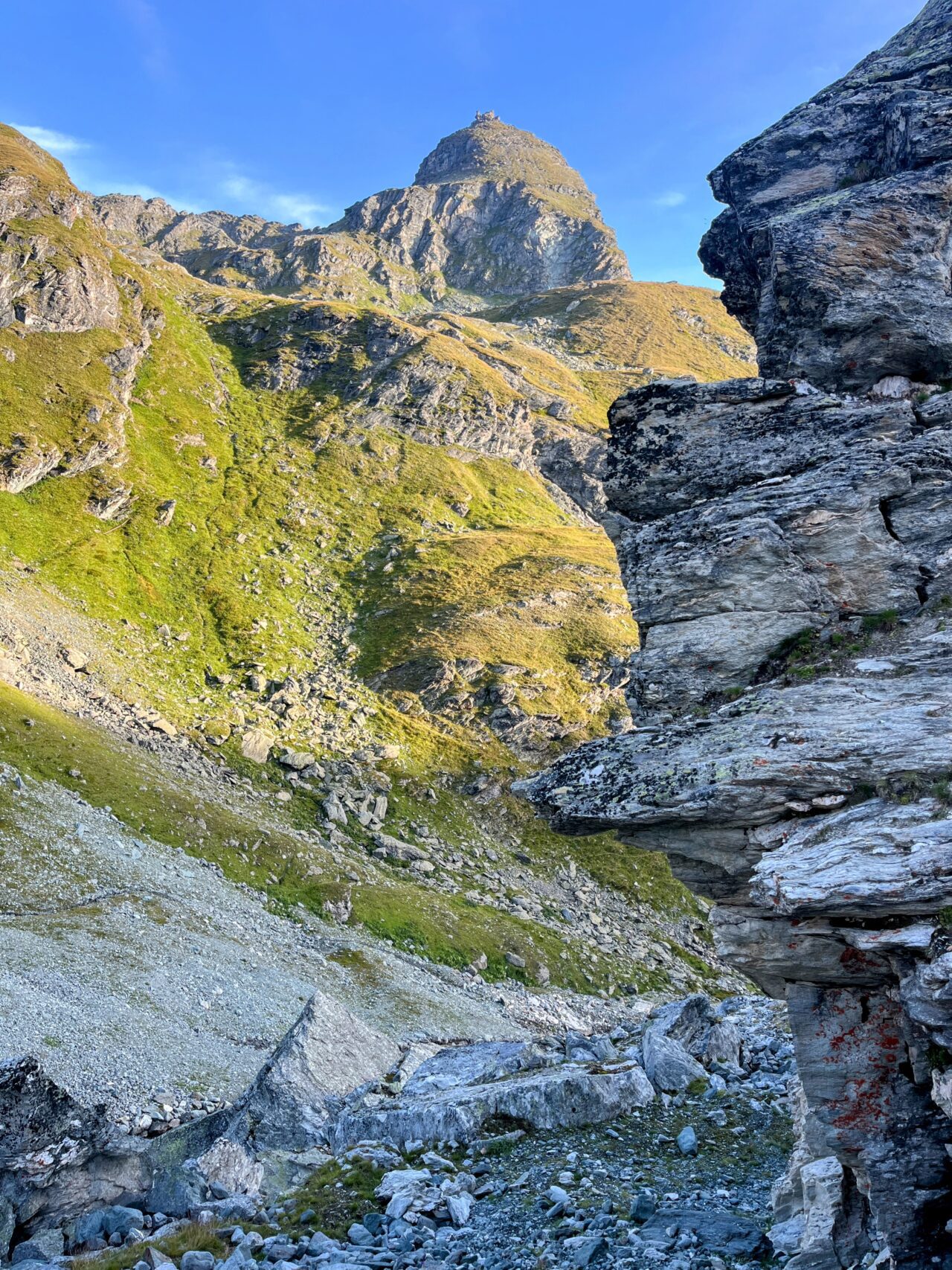wanderung_alpenpaesseweg_etappe_29_cabane_de_prafleuri_cabane_de_louvie_