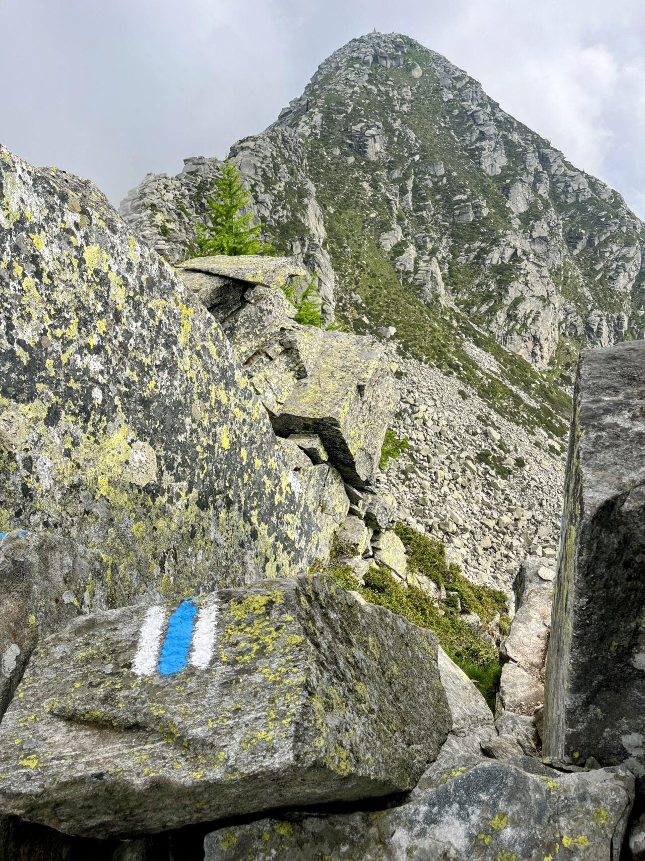 Wanderung_Alta_Via_Vallemaggia_Cimetta_Nimi_Brione_