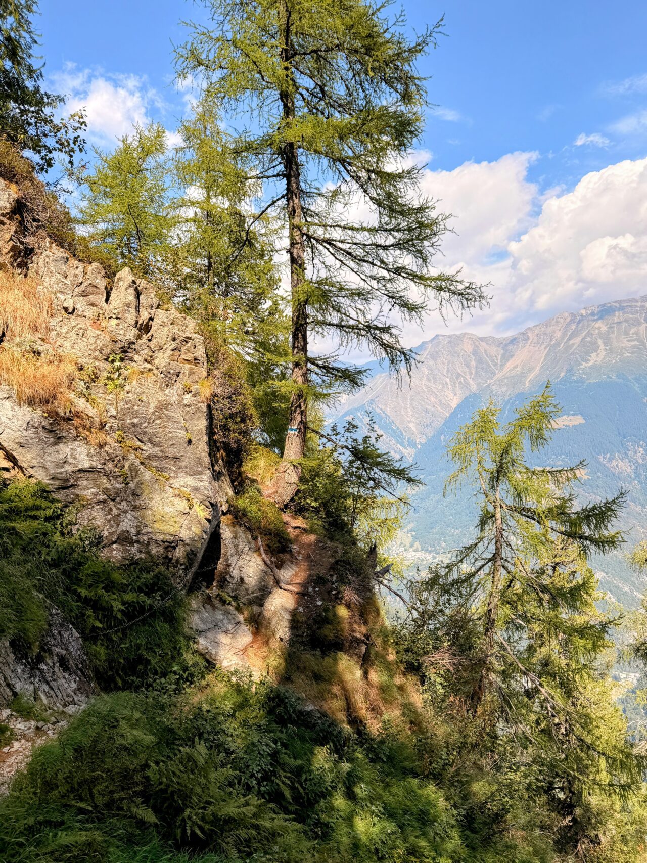 wanderung_sentiero_alpino_bregaglia_sasc_furae_huette_bondo__IMG_0581