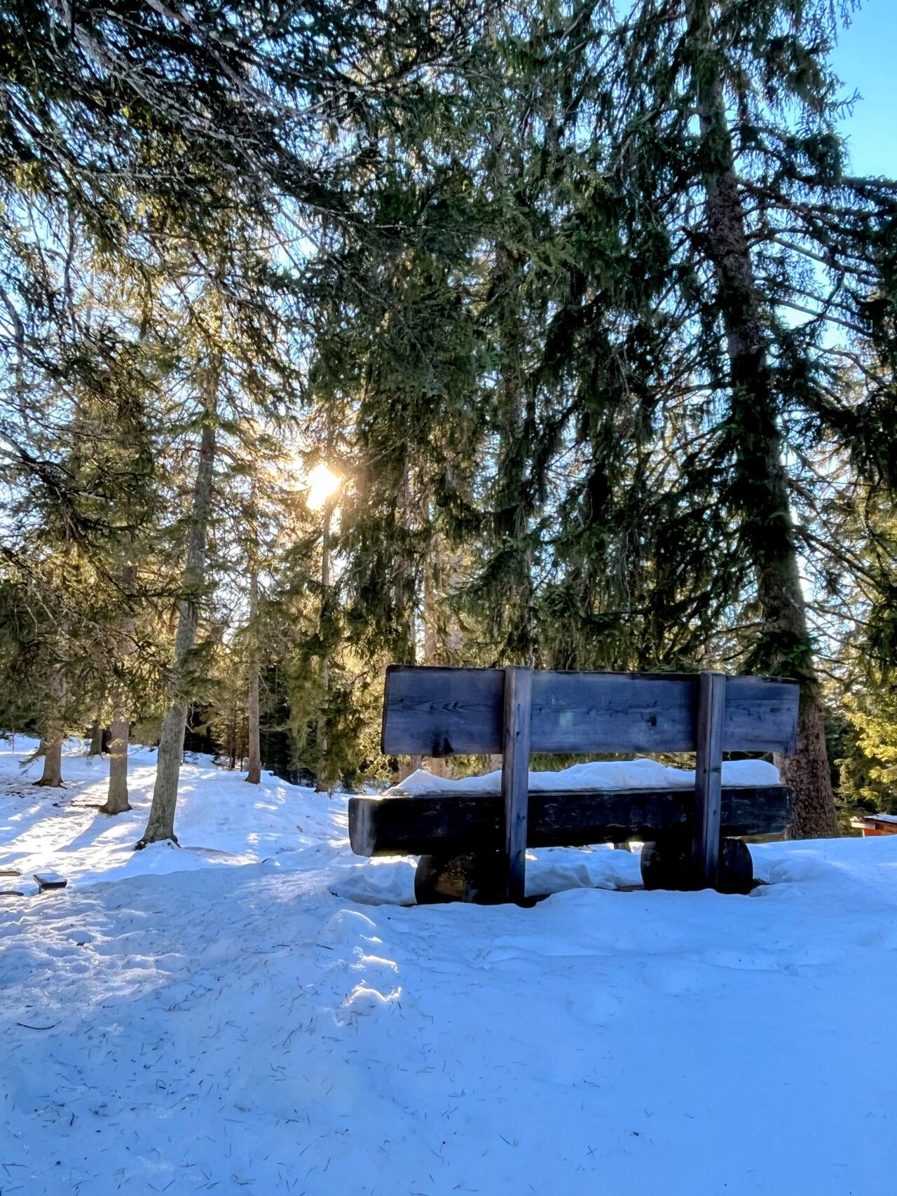 schneeschuhwandern_lantsch__IMG_0286 (Kopie)