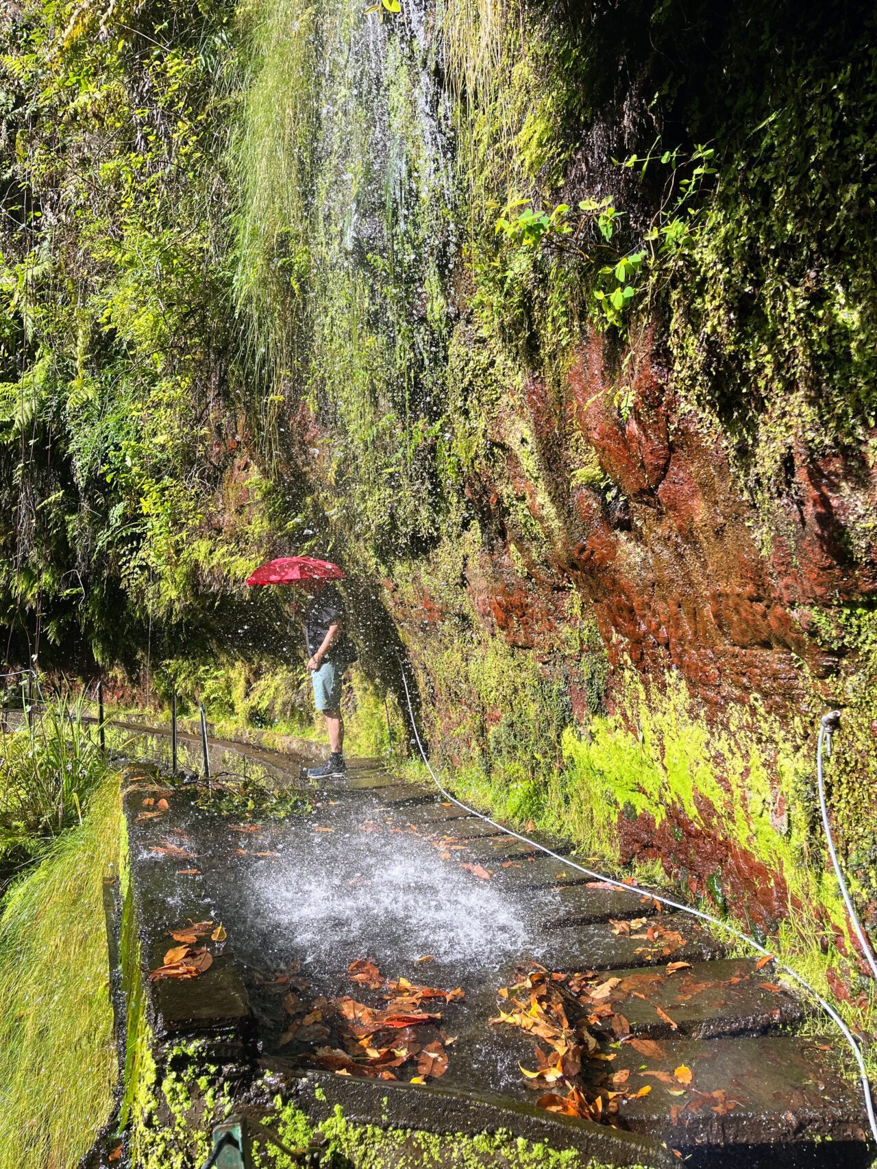 wanderung_levada_do_rei_pr18_