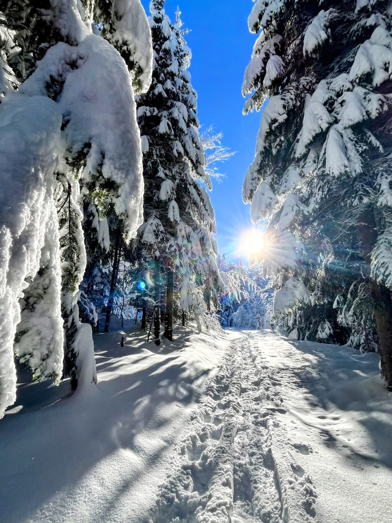 schneeschuhwanderung_rothenthurm_ahoren_biberbrugg__IMG_2400