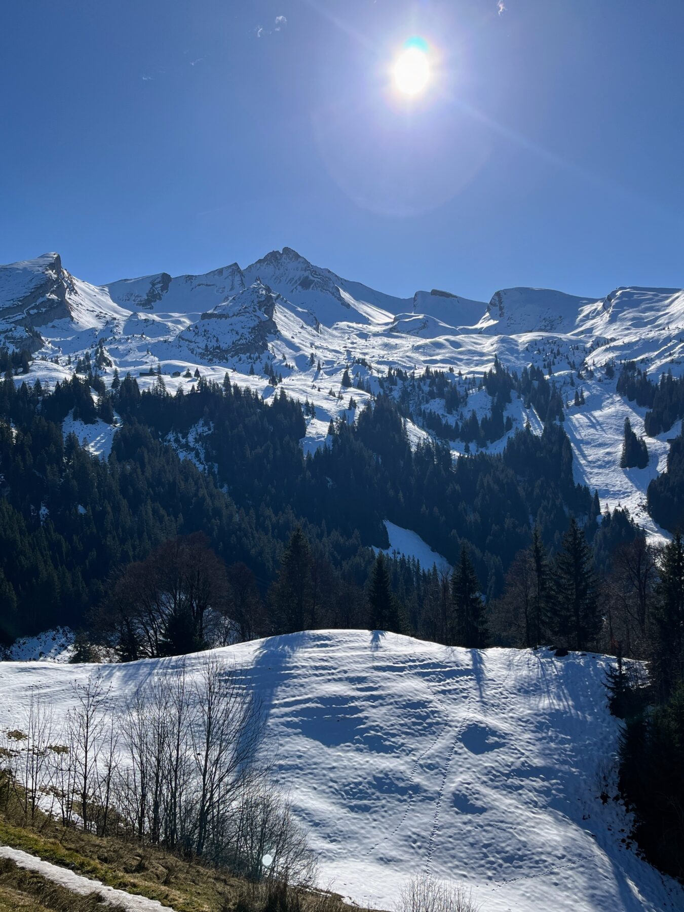 schneeschuhwanderung-brisenhaus-_IMG_0203