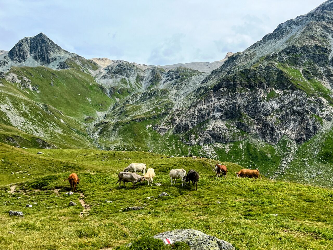 wanderung_parc_ela_trek_tag_1_julierpass_alp_flix_berghaus_piz_platta_