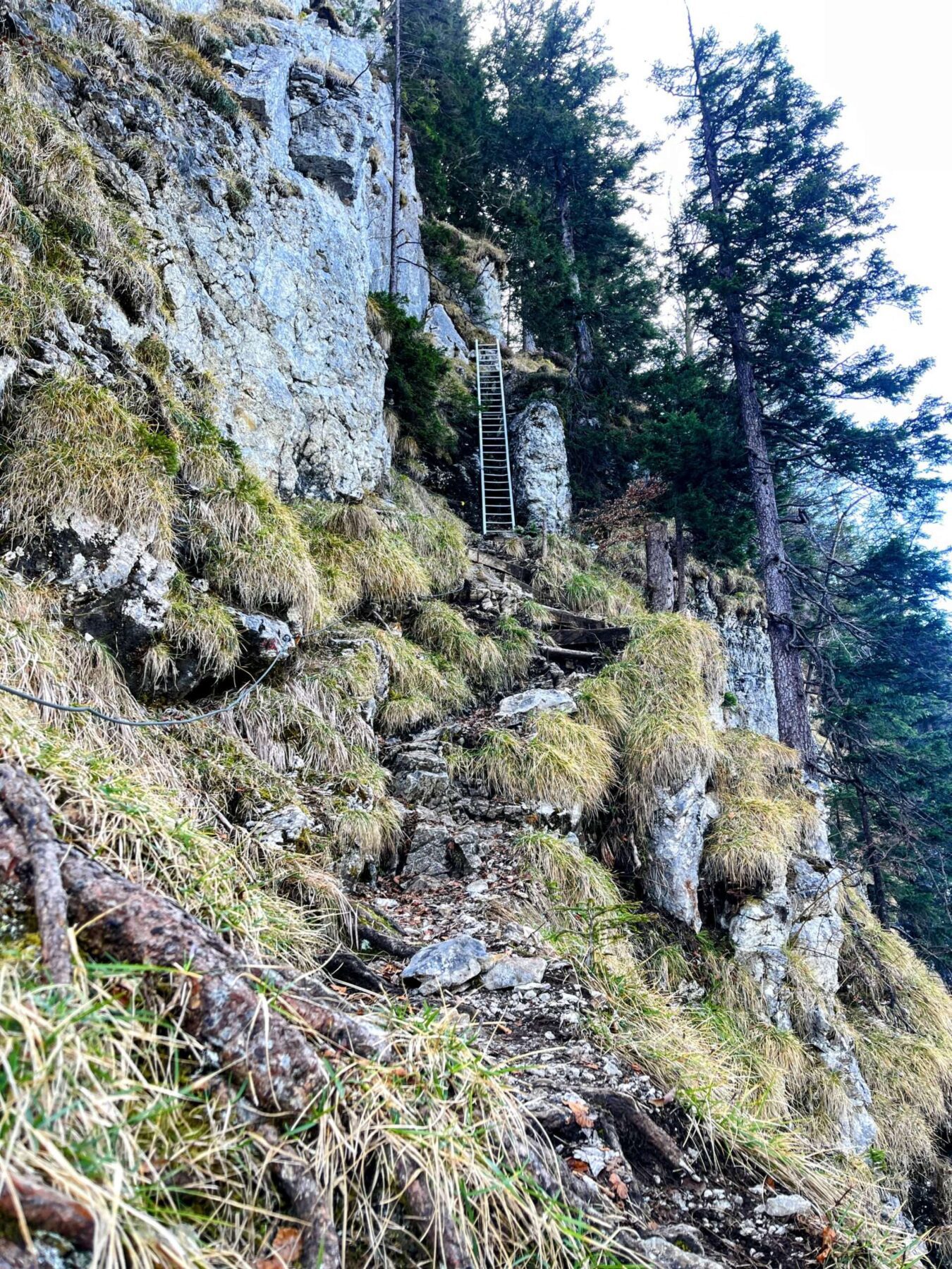 wanderung_vitznau_gersauerstock_vitznauerstock_