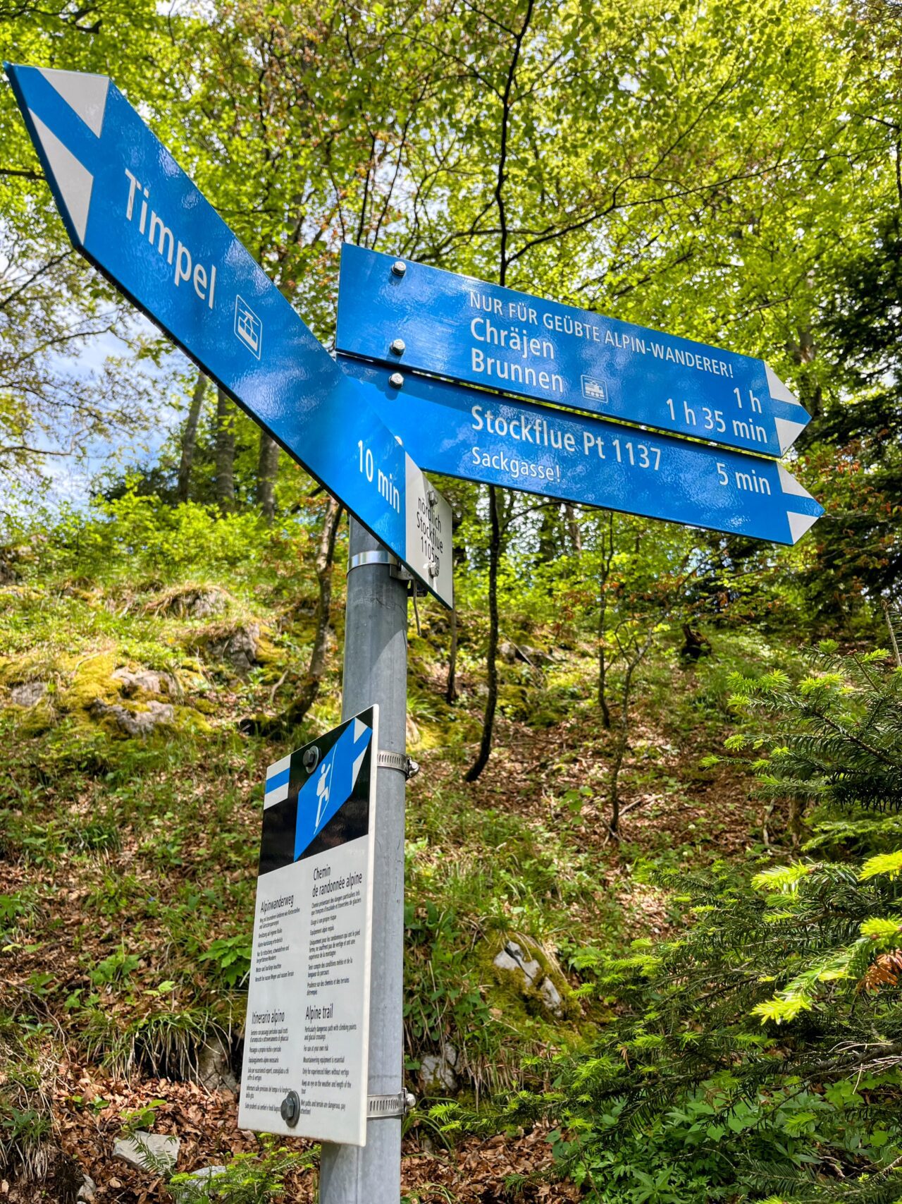 wanderung_brunnen_urmiberg_schwand_stockflue_